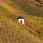 Weingut Lehnert-veit Gutshotel 3*