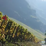 ホテル Weingut Lehnert-veit Gutshotel ピースポルト