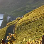 Weingut Lehnert-veit Gutshotel Hotel