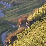 ホテル Weingut Lehnert-veit Gutshotel