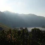 Weingut Lehnert-veit Gutshotel ホテル ピースポルト
