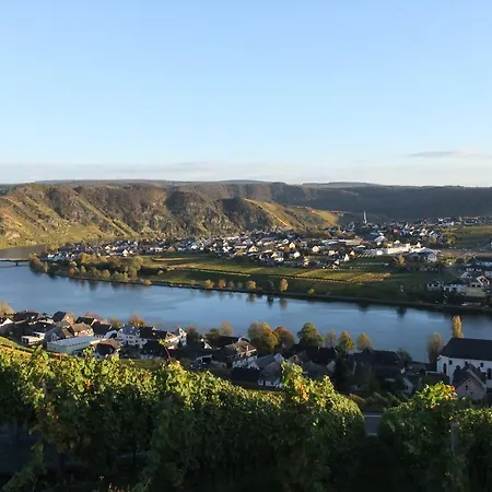 Weingut Lehnert-veit Gutshotel 3* Piesport