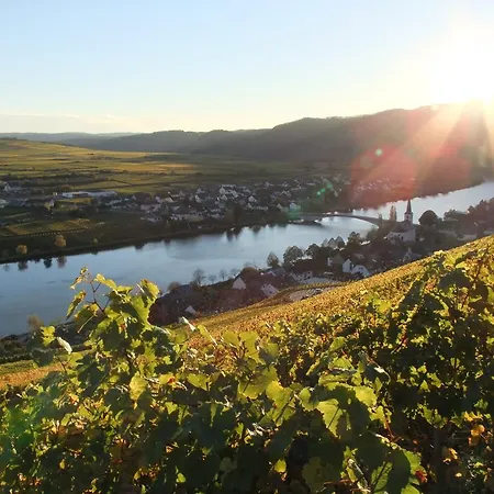 Weingut Lehnert-veit Gutshotel Hotell Piesport