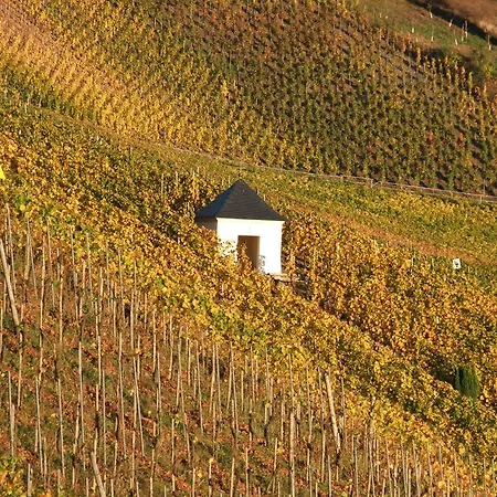 Weingut Lehnert-veit Gutshotel 3*