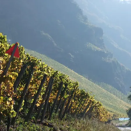 Hotell Weingut Lehnert-veit Gutshotel Piesport