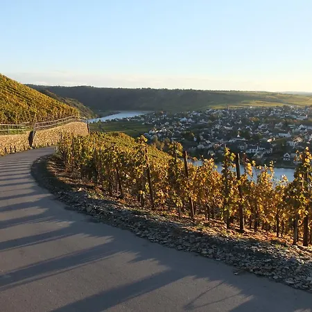 Weingut Lehnert-veit Gutshotel Piesport