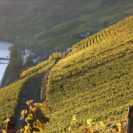 Weingut Lehnert-veit Gutshotel Otel