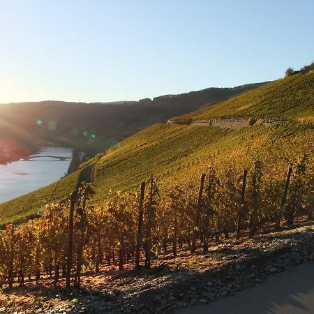 Weingut Lehnert-veit Gutshotel 3*