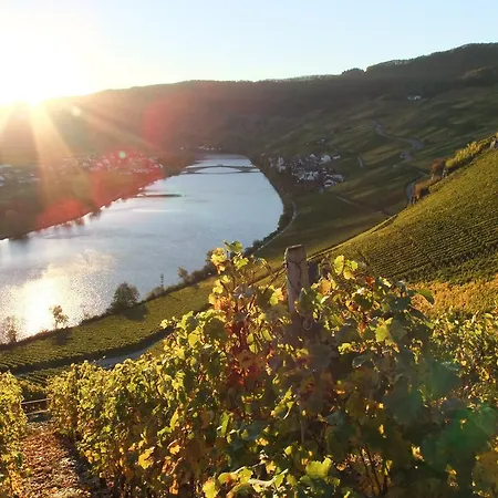 Weingut Lehnert-veit Gutshotel