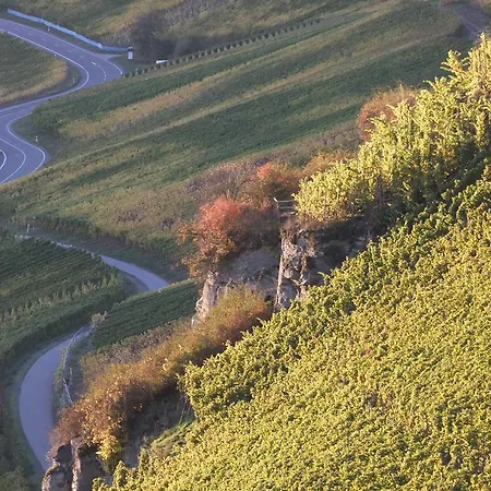 Hotel Weingut Lehnert-veit Gutshotel
