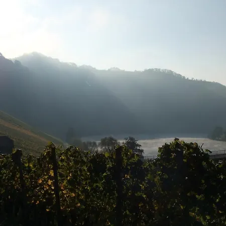 Weingut Lehnert-veit Gutshotel Otel Piesport