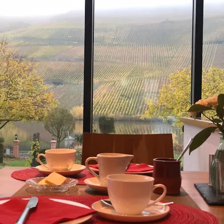 Weingut Lehnert-veit Gutshotel Otel