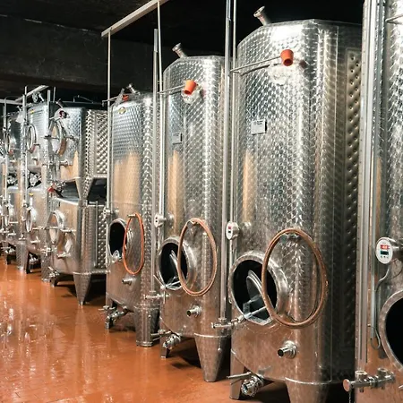 Weingut Lehnert-veit Gutshotel Otel 3*