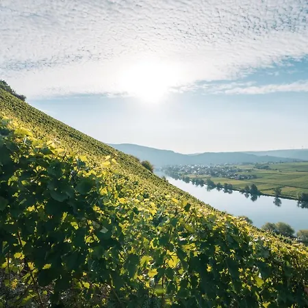Weingut Lehnert-veit Gutshotel