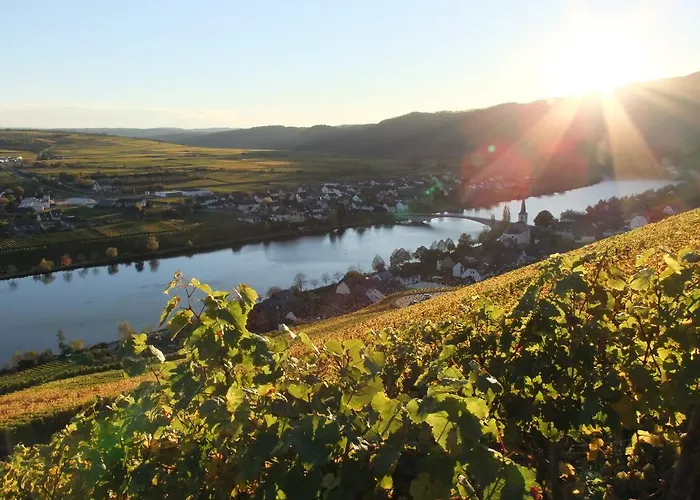 Weingut Lehnert-veit Gutshotel מלון פיספורט