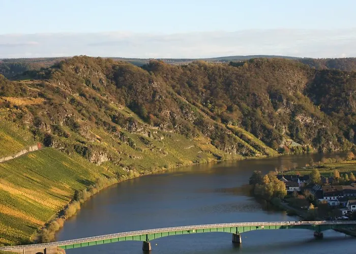 Weingut Lehnert-veit Gutshotel מלון