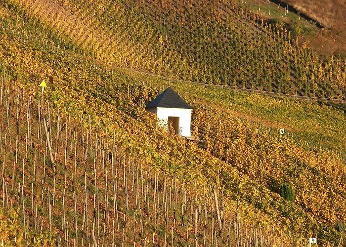 Weingut Lehnert-veit Gutshotel 3*