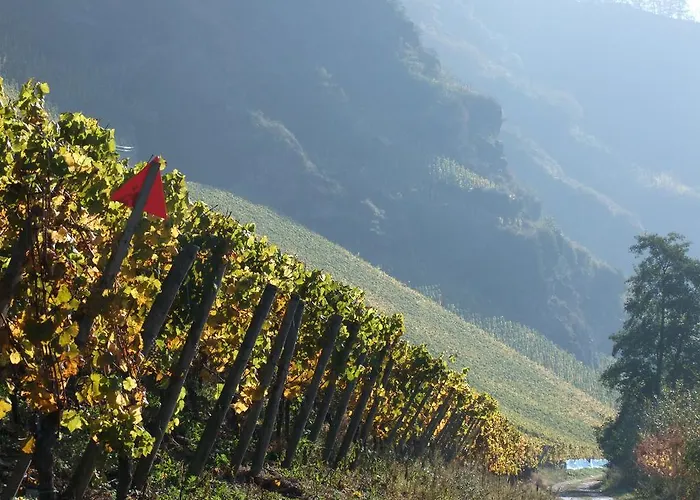 מלון Weingut Lehnert-veit Gutshotel פיספורט