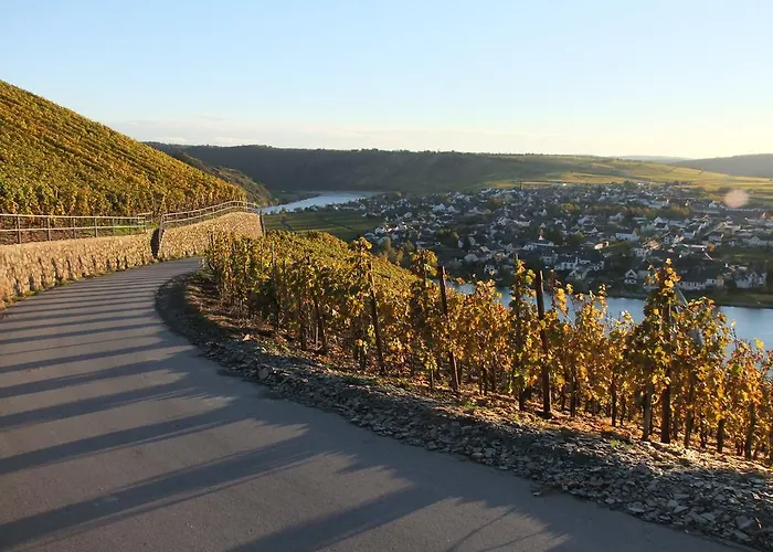 Weingut Lehnert-veit Gutshotel פיספורט