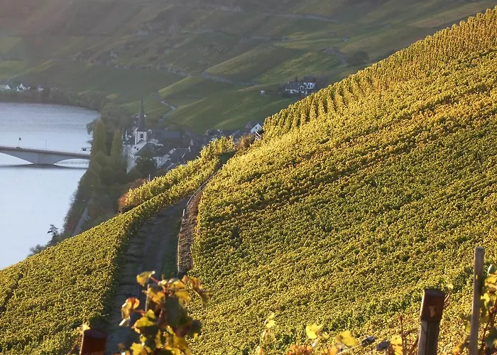 Weingut Lehnert-veit Gutshotel Hotel