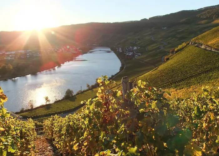 Weingut Lehnert-veit Gutshotel