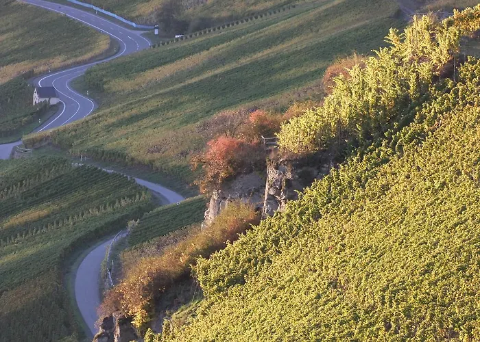 מלון Weingut Lehnert-veit Gutshotel