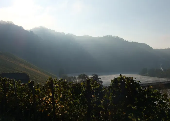 Weingut Lehnert-veit Gutshotel מלון פיספורט