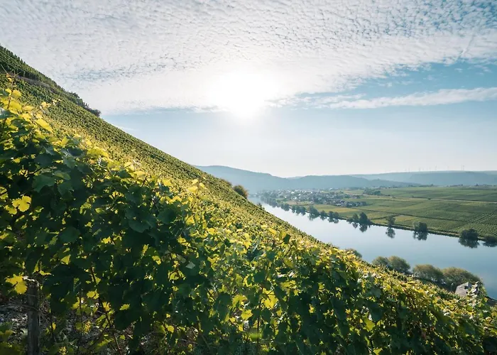 Weingut Lehnert-veit Gutshotel