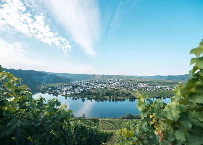 Weingut Lehnert-veit Gutshotel מלון 3*